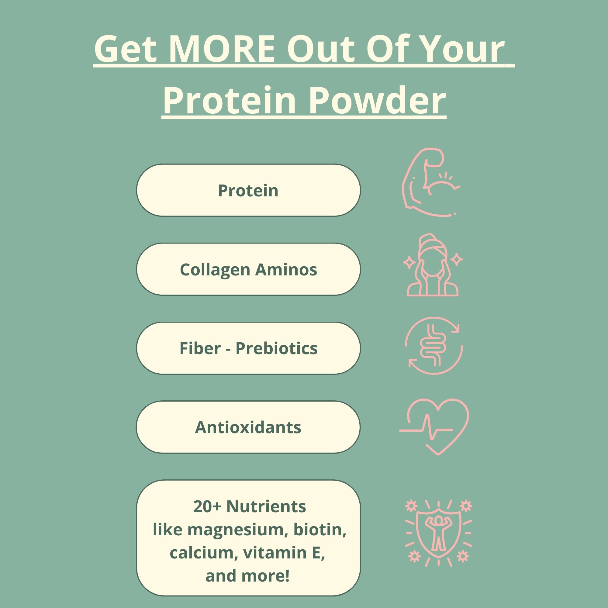 Wellious Protein Powder  -  Real Chocolate