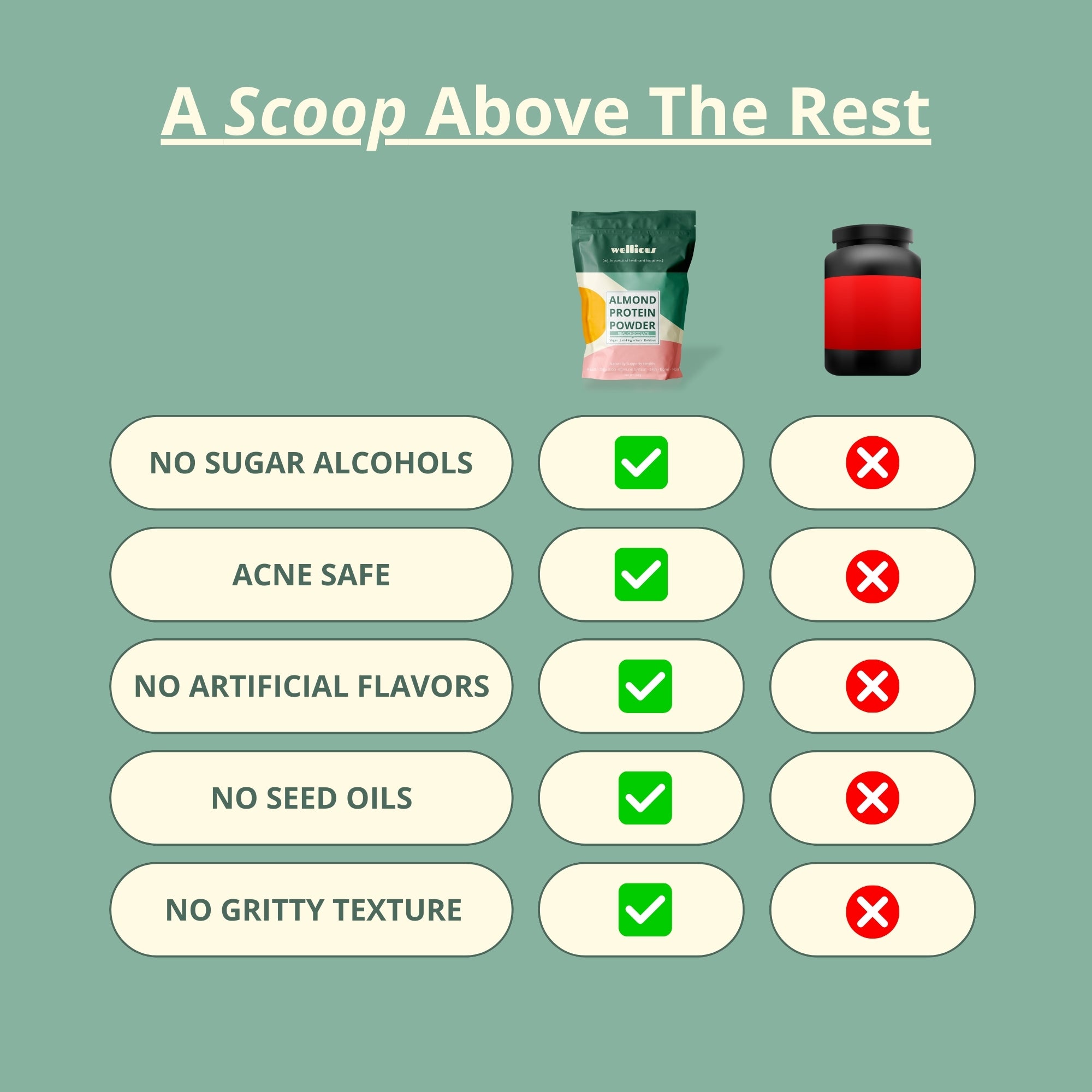 Wellious Protein Powder  -  Real Chocolate