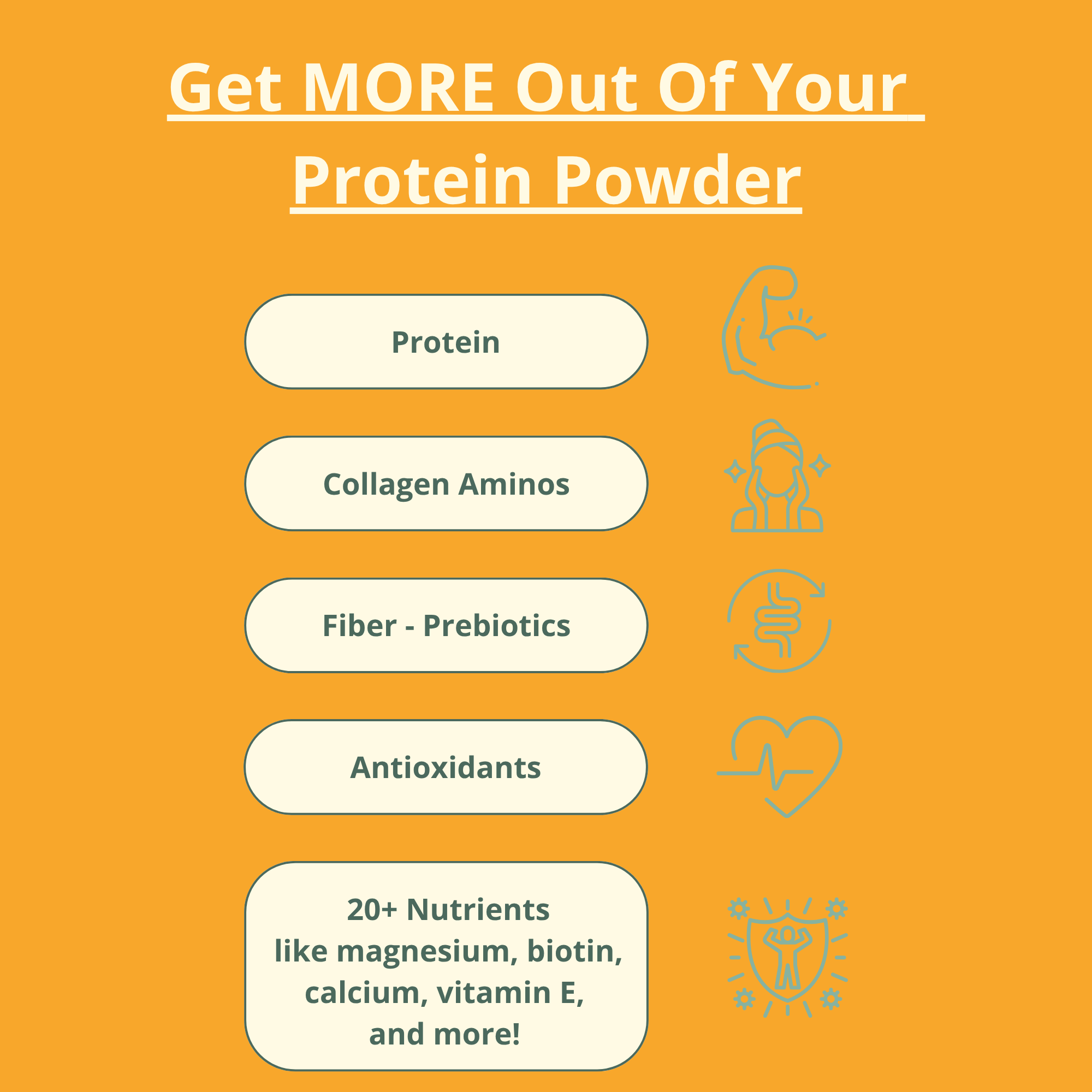 Wellious Protein Powder - Unflavored & Unsweetened