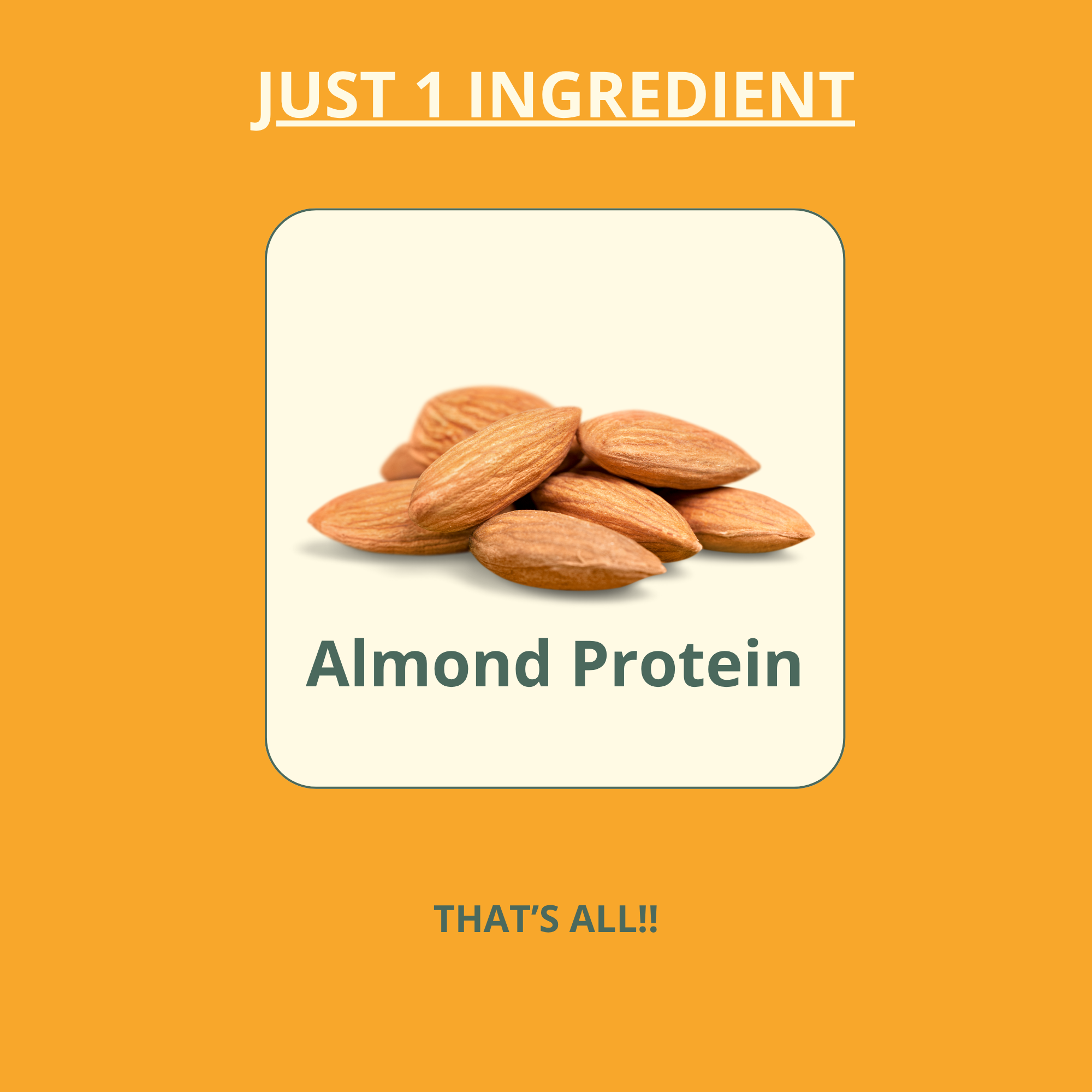 Wellious Protein Powder - Unflavored & Unsweetened